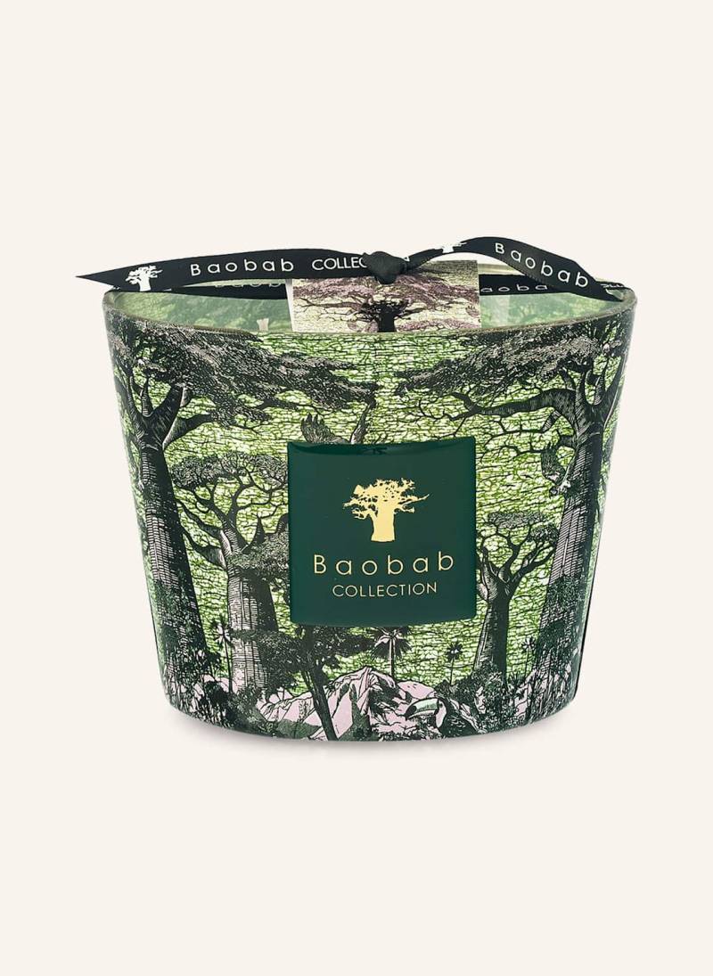 Baobab Collection Duftkerze Sacred Trees Touba gruen von Baobab COLLECTION