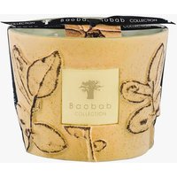Baobab  - Folia Garrigue Max 10 Duftkerze | Unisex von Baobab