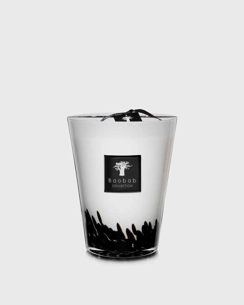 Baobab Max 24 Feathers - 5.2kg men Home Fragrance multi in Größe:ONE SIZE von Baobab