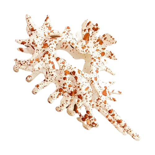 Baoqifong Muschel Haarklammer | Stylisches Haaraccessoire,Stilvolle Damen Muschel Spange Für Sport, Alltag, Freizeit, Hochzeit Und Party von Baoqifong