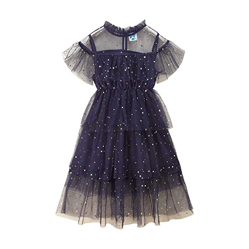 Baotung Kinder Mädchen Prinzessin Kleider Plisseekleid mit Stern Kurzarm BTD06S Blau Gr.116(Herstellgröße:120) von Baotung