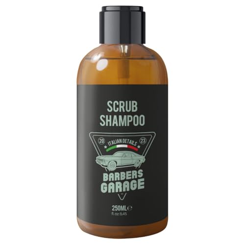 Barbers Garage – Anti-Schuppen Shampoo für Herren – reinigend und feuchtigkeitsspendend – mit Piroctone Olamin, Aloe Vera und Kamille – beruhigend Juckreiz – 250 ml von Barbers Garage