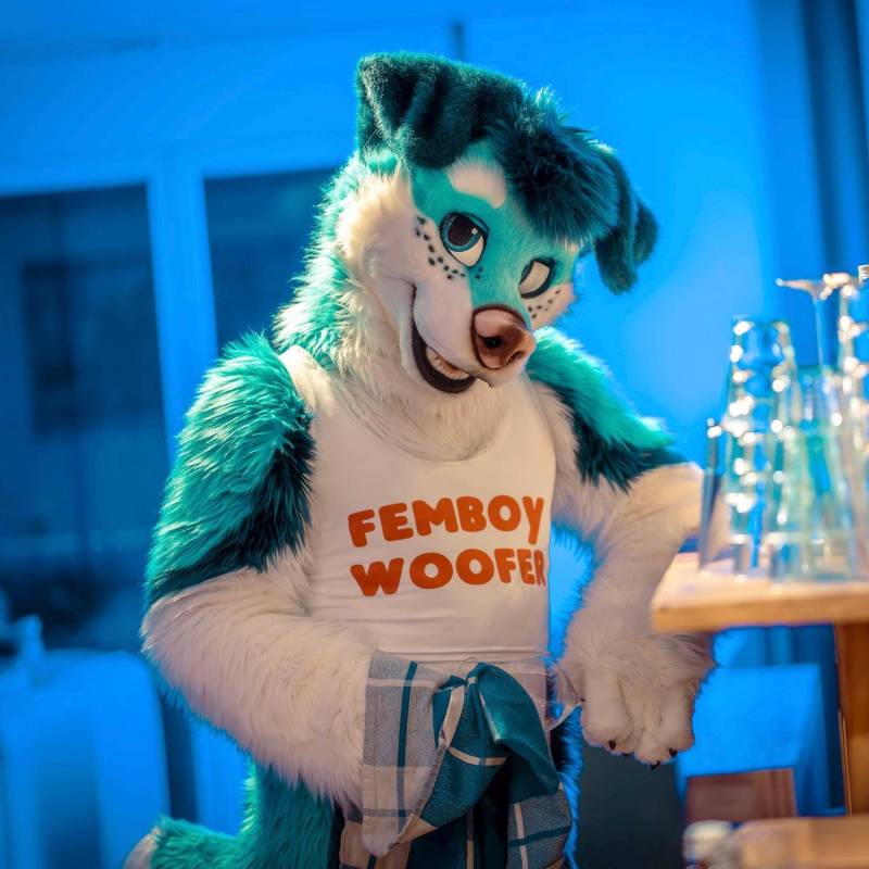 Femboy Woofer Crop Top von BarnJody