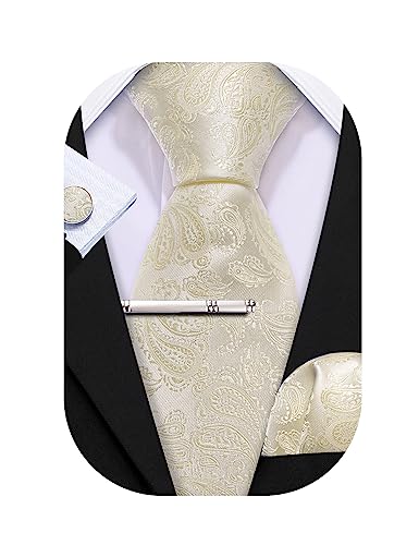 Barry.Wang Herren Krawatte 63" Seide Slim Krawatte Paisley/Solid Color Mode Taschentuch Manschettenknöpfe Clip 4PC Klassische Hochzeit Business Party von Barry.Wang