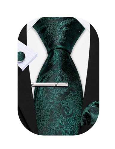 Barry.Wang Herren Krawatten Seide 4 Stück Einfarbig Paisley Formal Satin Krawatte Einstecktuch Party Klassisch Hochzeit Jubiläen Geschenkbox, grün, Einheitsgröße von Barry.Wang