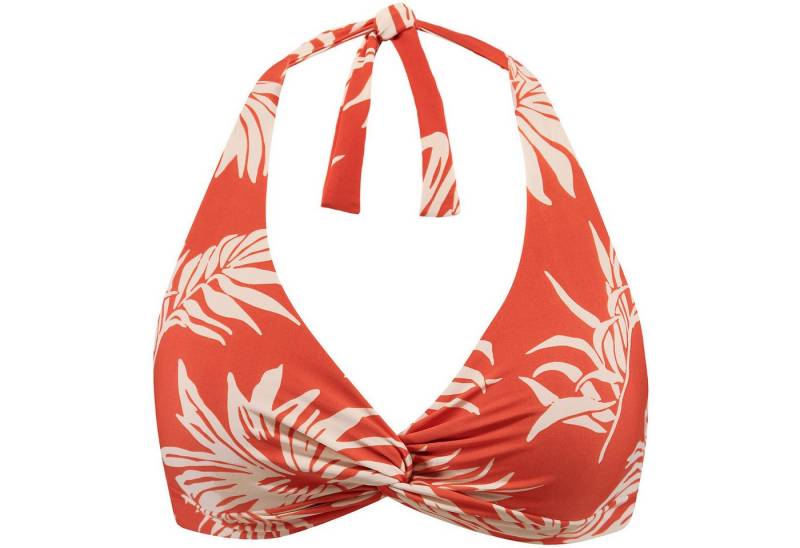 Barts Badeanzug MTB-Sch. o.Bindg. W DELTIA HALTER von Barts