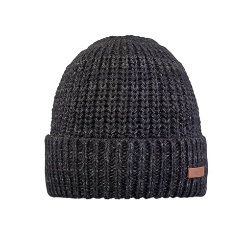 Barts Herren Arctic Beanie-Mütze, Marineblau, Einheitsgröße von Barts