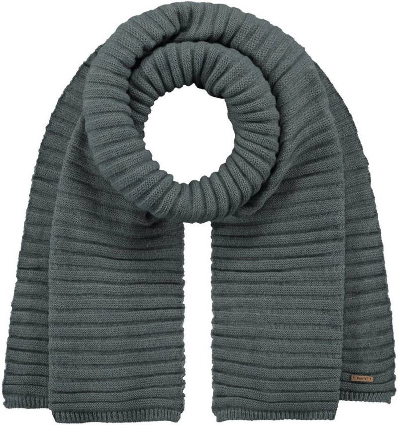 Barts Schal Bayne Scarf DARK CELADON von Barts
