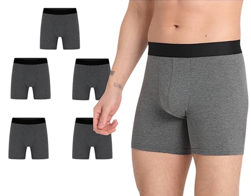 Basicbox Herren Brief Boxershorts I Ergonomisch geschnitten I 5er Pack I verstärktes Gummibund I Ohne Kratzenden Zettel I I S-XXXL (DE/NL/SE/PL, Alphanumerisch, L, grau) von Basicbox