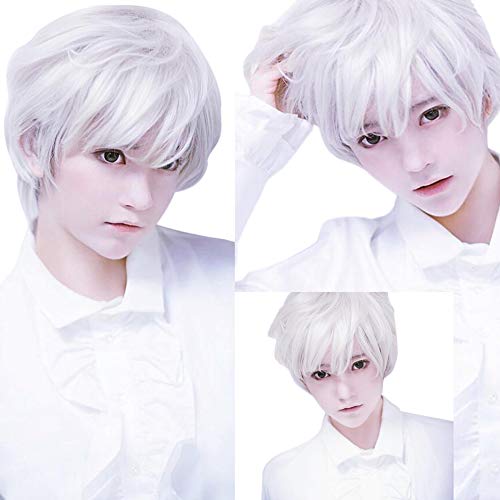 Battnot Herren Perücke Weiß Lockig 20cm Casual WIG, Anime kurze Haarperücken Erwachsene für Cosplay Halloween von Battnot