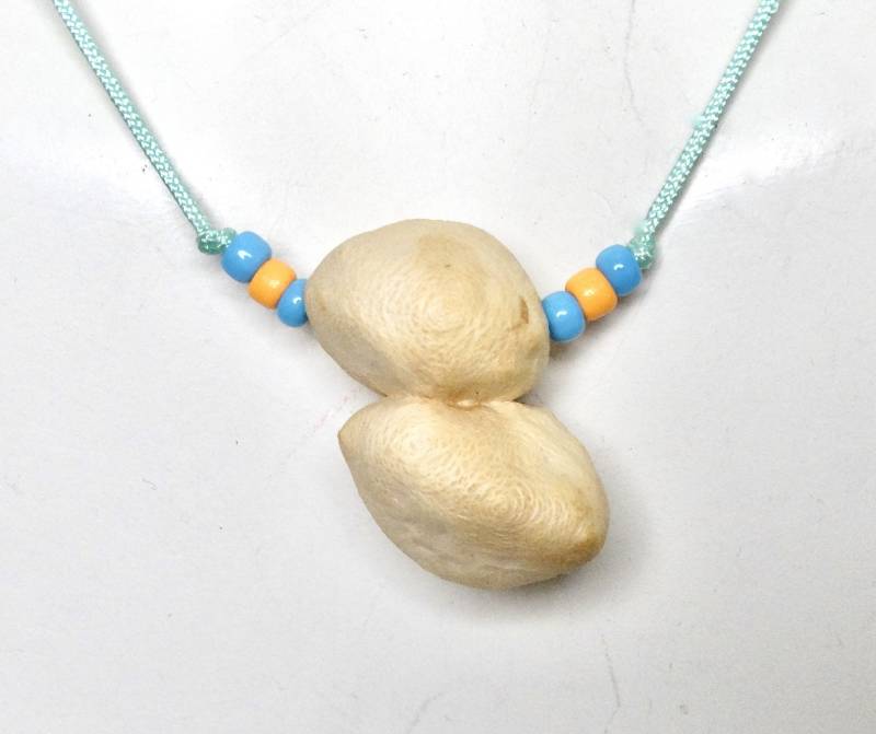 Buche - Baumperlen Zwillinge Wunderschön Gemasert Auf Einer Zarten Filigranen Nylon Kette Paracord Schnur von Baumperlen