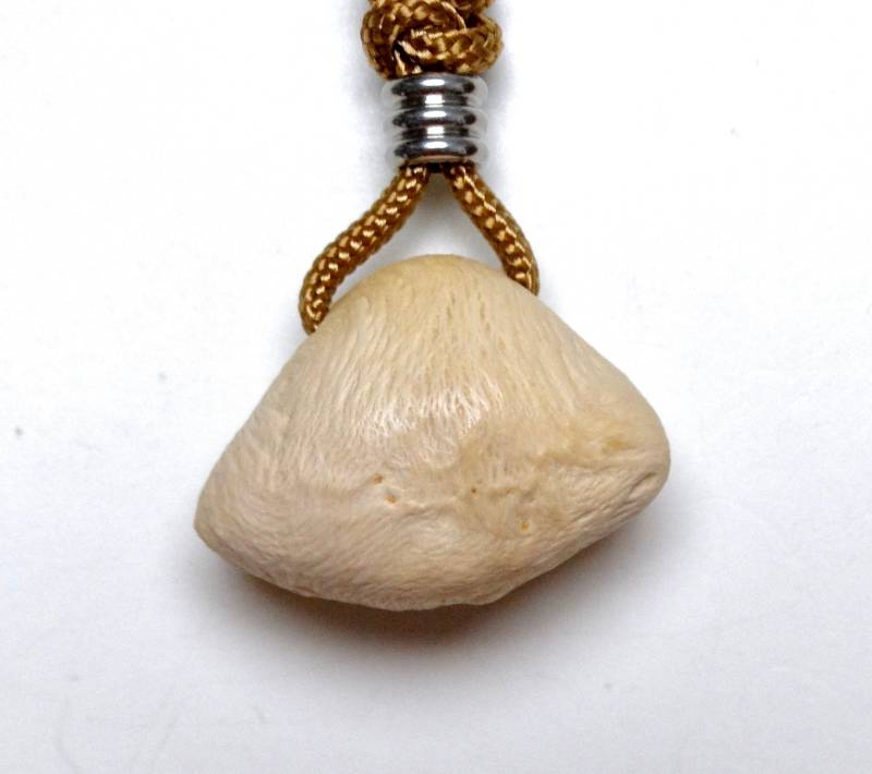 Buche - Sehr Edle Baumperle Der Buche Aus Frischholz An Halskette Paracord Schnur Vegan Maserknolle Glücksbringer von Baumperlen