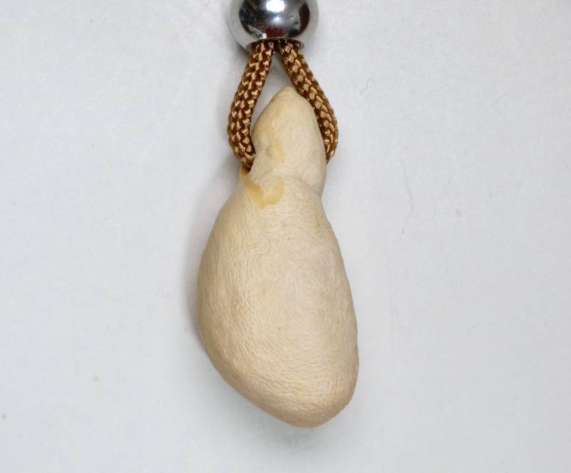 Buche - Tolle Tropfenform Baumperle Der Buche Aus Frischholz An Halskette Paracord Schnur Vegan Maserknolle Glücksbringer von Baumperlen