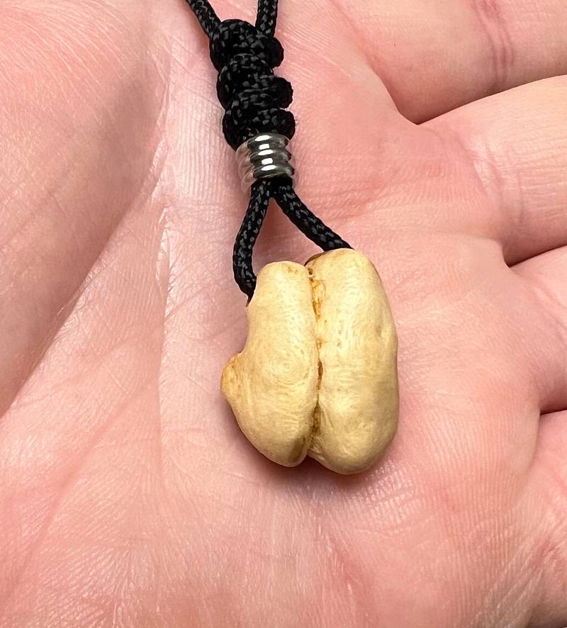 Wunderschöne Toll Geformte Baumperle Einer Buche An Halskette Paracord Schnur Vegan Gluecksbringer Wunderschöne Toll Geformte Baumperle Einer Buche An Halskette Paracord Schnur Vegan Gluecksbringer von Baumperlen