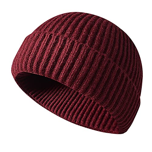 Retro Trawler Winter Beanie Hat, Unisex Fischermütze Dockermütze Rollmütze Winter Hut Baseballkappe Cappello Antivento (Rotwein) von Baynetin