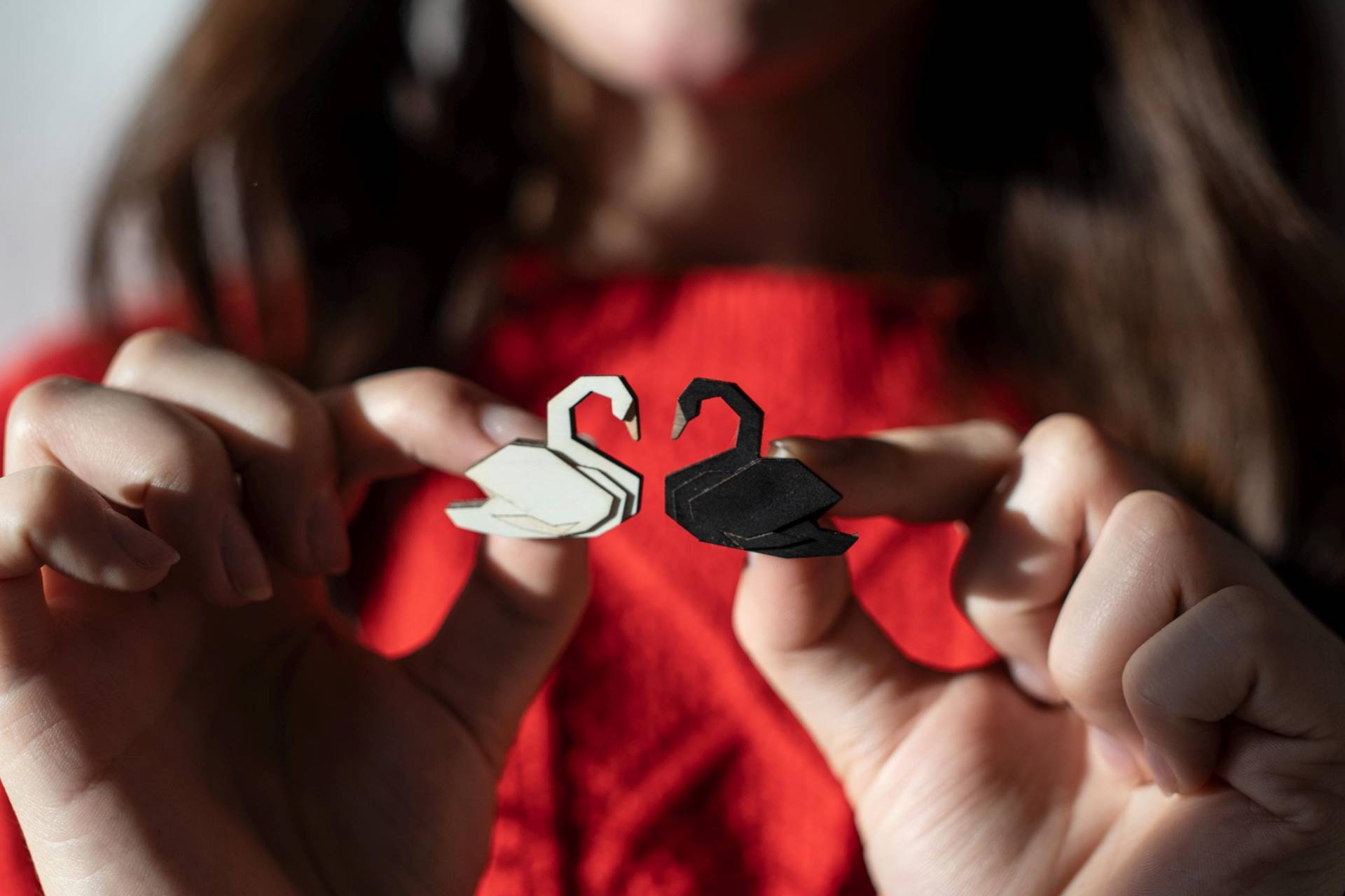 Wooden Swan Brooch - White Or Black Pin Handcrafted Wooden Engraved Elegant Accessory Gift For Couple von BeWoodenCompany