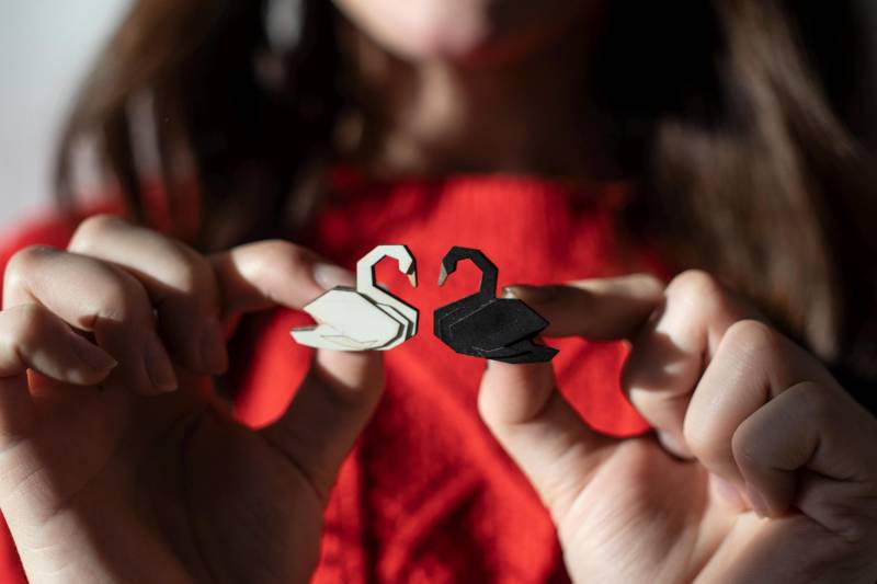 Wooden Swan Brooch - White Or Black Pin Handcrafted Wooden Engraved Elegant Accessory Gift For Couple von BeWoodenCompany