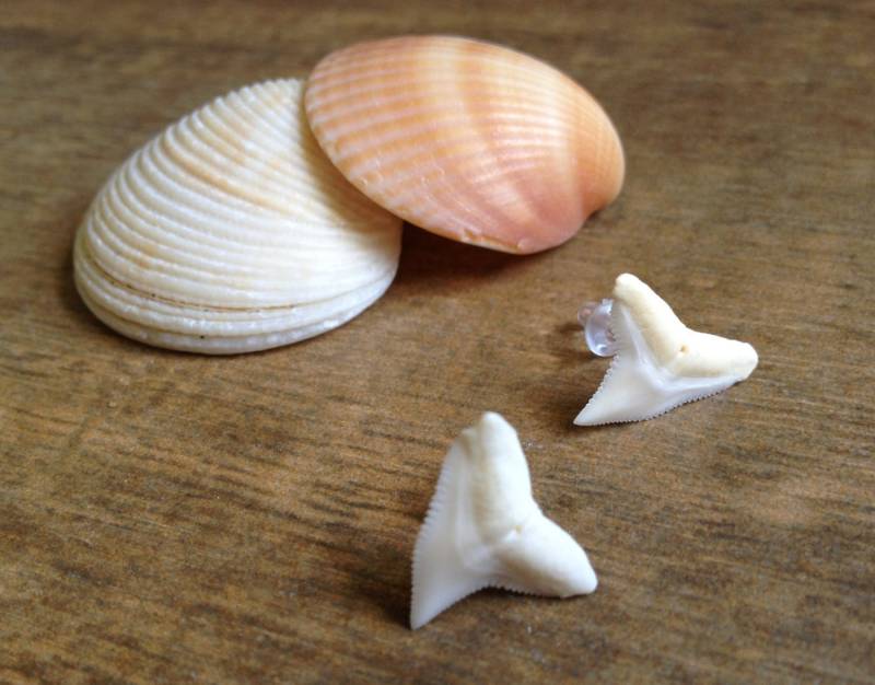 Haizahn Ohrringe Ohrstecker Strand Schmuck Meer Meerhai Kostüm Natur Sup Surfer Mädchen Jungen Musik Festival Sommer Pool Party Gastgeschenk von BeachDaisyJewelry