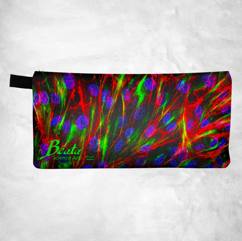 Zytoskelett-Reißverschluss-Carry-All-Tasche | Beutel, Mikroskopie, Mode, Wissenschaft Kunst, Biologie, Zellen, Dna, Stamm, Lehrer, Geschenk von BeataScienceArt