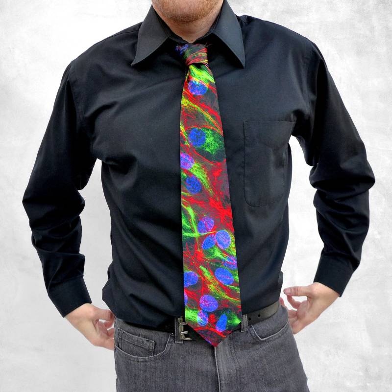 Zytoskelett-Wissenschaftskrawatte | Mikroskopie, Mode, Wissenschaftskunst, Molekularbiologie, Zellen, Mitose, Zytokinese, Dna, Stamm, Lehrer von BeataScienceArt