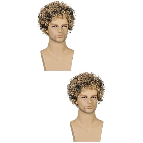 Beaupretty 2st Mode Synthetische Perücke Lebensechtes Menschliches Haar Perücken Für Männer Herren 70er Disco Dude Perücke Partykostüm Für Herren Afro-perücke Flauschige Mann Meeräsche von Beaupretty