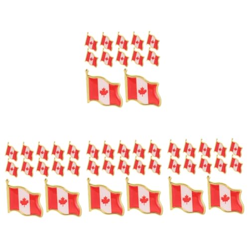 Beaupretty 4 Sätze Flagge Brosche Teiliges Dekorative Anstecknadel Für Männer Und Frauen Patriotisches Abzeichen Für Kleidung Vielseitig Einsetzbar Für Pullover Kleider Schals 25 Stück * 4 von Beaupretty