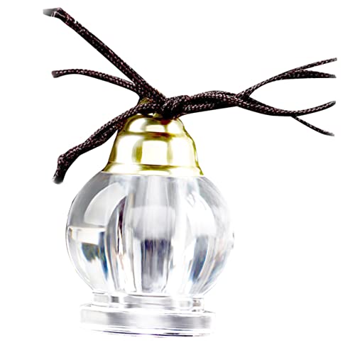 Beaupretty Aromatherapie Halskette mit Ätherischem Öl Flasche Anhänger Duftdiffusor Kette für Anlässe für Damen Herren zu Hochzeit oder Weihnachten von Beaupretty