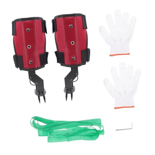 Beaupretty Baumkletterschuhe mit Stahlkrallen rutschfest und Verstellbar Geeignet für Kokosnuss und Ernte Hornissennest Entfernung Stabiler Halt Bäumen Aller Komfortabel und Sicher Beim von Beaupretty