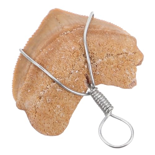 Beaupretty Haifischzahn Kleiner Drahtgewickelter Schmuck Für Einzigartiges Design Outdoor- Für Und Jungen von Beaupretty