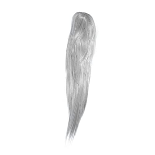 Beaupretty Lange Synthetische Perücke Silber Weiß Glattes Haar Natürlich Wirkende Spitzen Wiederverwendbar und Waschbar Atmungsaktiv Bequem für Alltag Party Cosplay Damen und Mädchen von Beaupretty