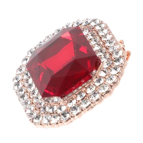 Beaupretty Schuhclip Strasssteinen Abnehmbar Schmuck Damenschuhe Hochzeit Brautschuh Clip Eleganter Schuhschmuck für Pumps High Heels Zubehör mit Funkelnden Kristallen von Beaupretty