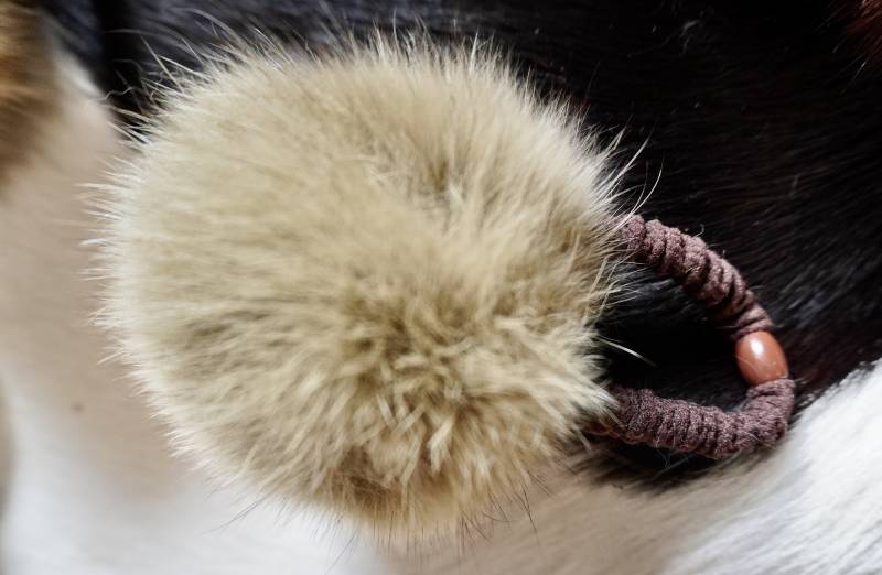 Schöne Perlen Dicke Weiche Haargummis Mit Einem Echtpelz Pompom von BeautifulhidesCo