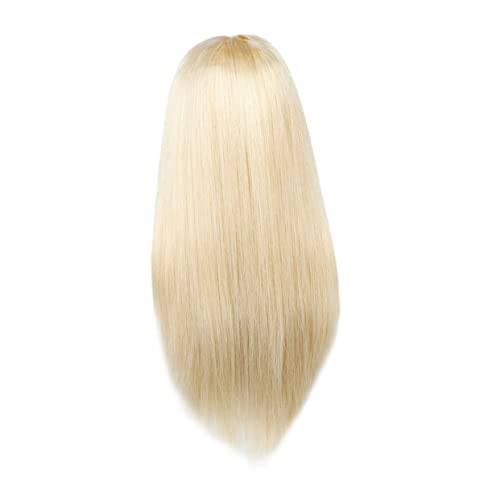 Beavorty 2st Perücke Kopfbedeckung Cosplay Perücke Und Kostüm Gerade Blonde Perücke Lacefront Perücken Cosplay Gerade Perücken Kleidung Fräulein Hochtemperaturdraht Glattes Haar von Beavorty