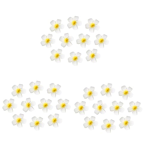 Beavorty 30 Stk Hawaiianische Blumen Haarspangen Hawaii Haarspange Plumeria-haarspange Für Frauen Blumenhaarspange Für Mädchen Strandblume Braut Ausgabekarte Weiß Die Blumen von Beavorty