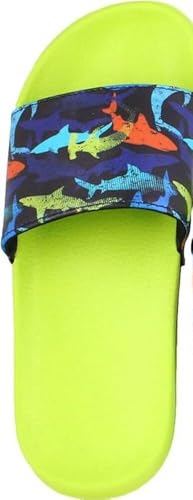 Beck Jungen Sealife Wassersportschuh, Grün, 24 EU Beck Jungen Sealife Wassersportschuh, Grün, 24 EU von Beck
