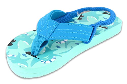 Beck Mädchen Sharky Badeschuhe Clogs, Blau, 24 EU von Beck