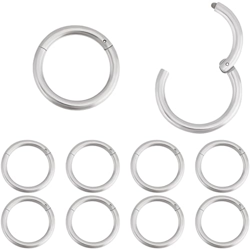 Beebeecraft 1 Box 10 Stück Knorpel Creolen für Damen Herren 316L Edelstahl Knorpel Huggie Ohrringe Nasenringe Helix Scharnier Piercing Schmuck (10.5mm 16G) von Beebeecraft