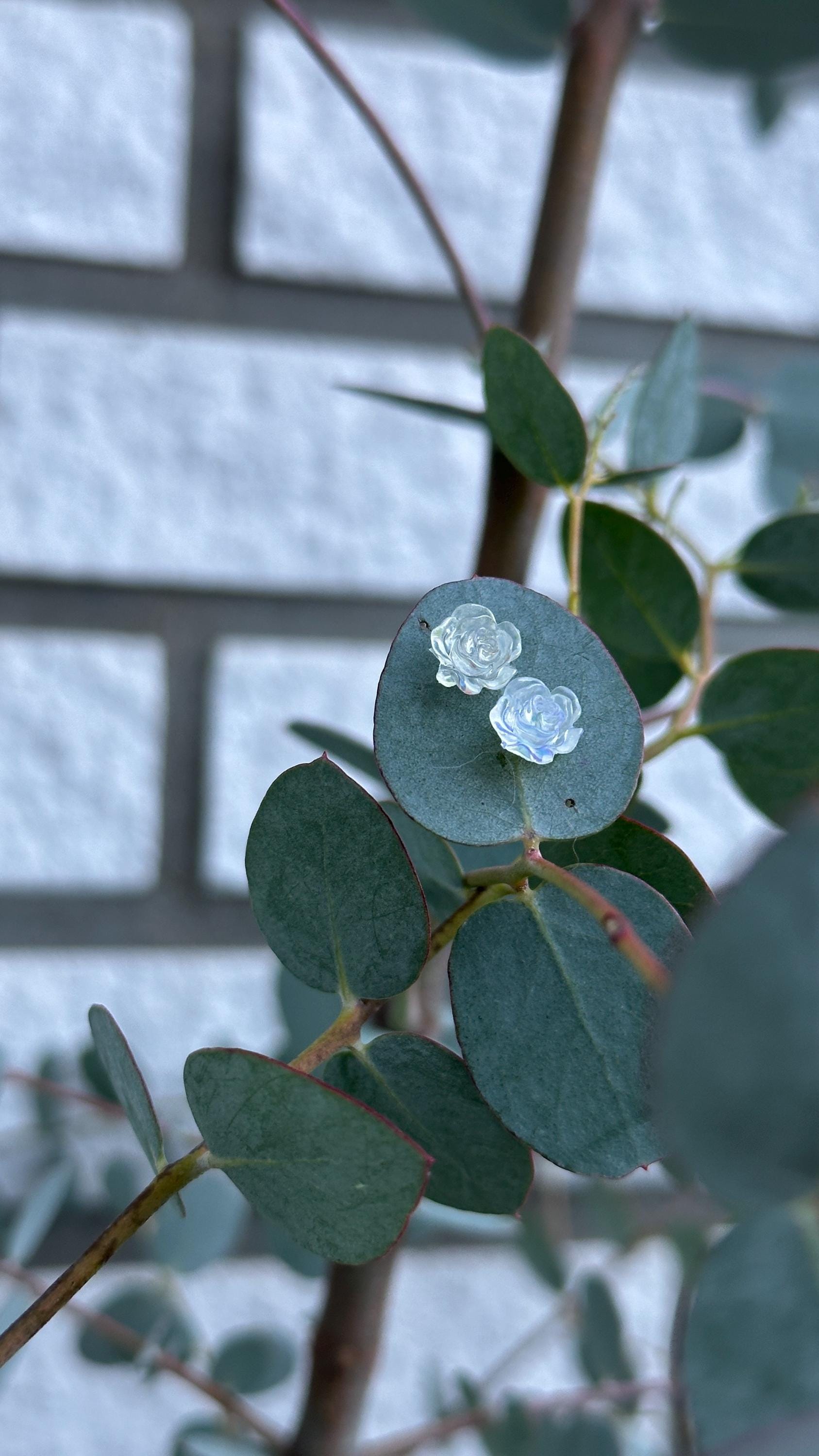 Transparente Rosen-Ohrstecker Mit Schimmerndem Effekt - Ein Hauch Von Magie von BeekesCreativStudio