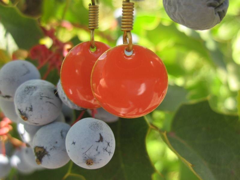 Kleine Emaille-Ohrhänger in Koralle, Kaltemaille von Behrenperlen