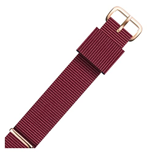 CAREG Neway Watchband kompatibel mit DW Nylon Watch Band 18mm 20mm Roségold Armband Schnallen Band for Daniel Wellington Uhrengurt Männer Frauen Frauen Durable (Color : Celestial Teal, Size : 12mm) von BeiCheng