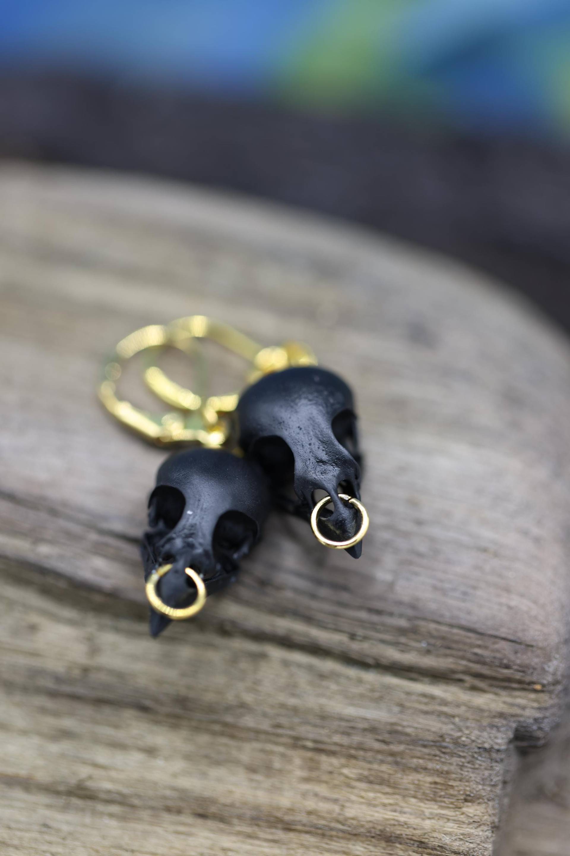 Schwarze Ziervogel-Schädel Ohrringe Mit Goldring von Beinahruga