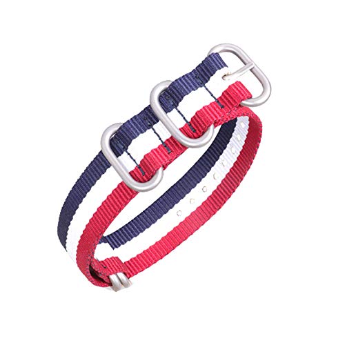 Armband Nylon Canvas-Bügel 18mm/20mm/22mm/24mm Gestreifte 5 Ring NATO Männer Ersatzband Uhrenzubehör, 22mm von Believewang