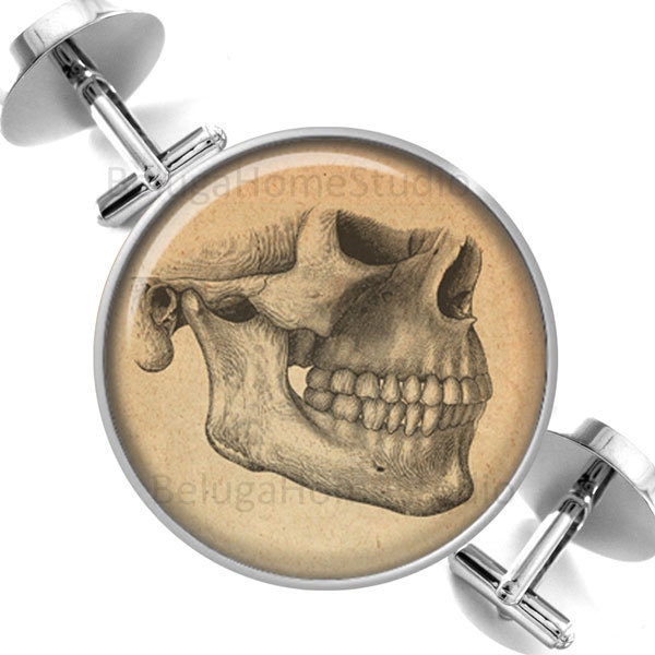 Manschettenknöpfe Vintage Anatomie Schädel Illustration in Sepia Trauzeugen Hochzeit Partei Väter Väter-Männer von BelugaHomeStudio