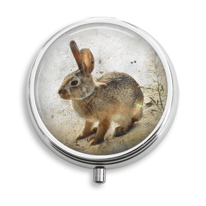 Pille Box Fall Hase Kaninchen Hintergrund Halter Behälter Trinket Vitamin Medizin von BelugaHomeStudio