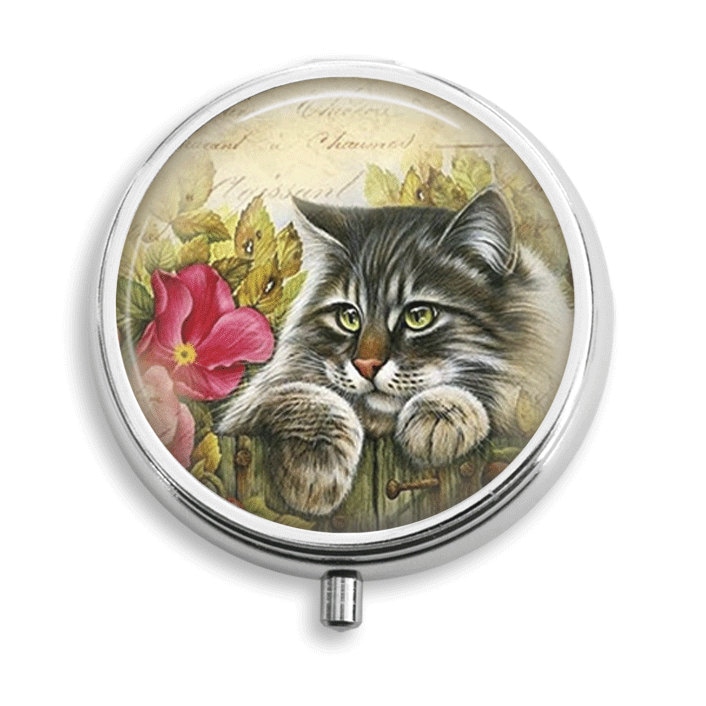 Pille Box Fall Katze Und Die Rote Blume Behälter Trinket Vitamin Halter Medizin von BelugaHomeStudio
