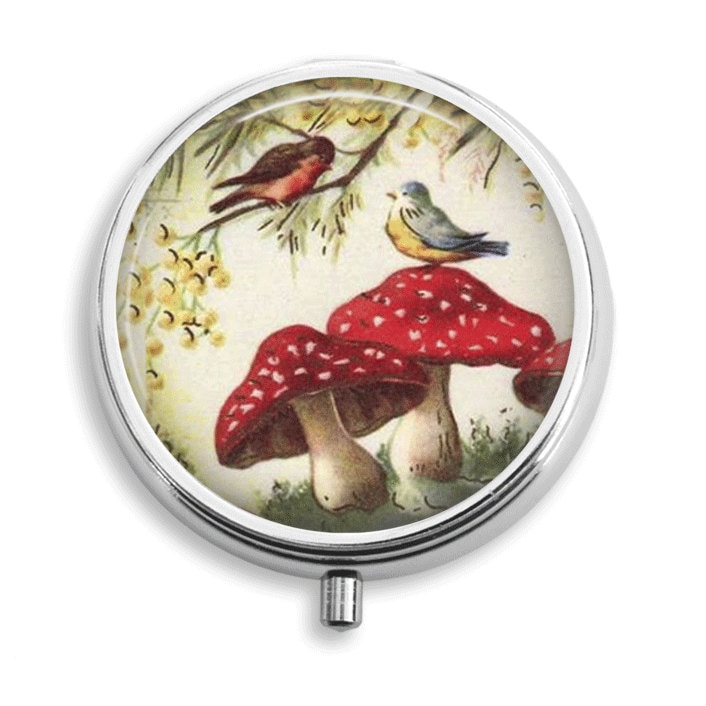 Pille Box Fall Vögel Und Pilze Halter Behälter Trinket Vitamin Medizin von BelugaHomeStudio