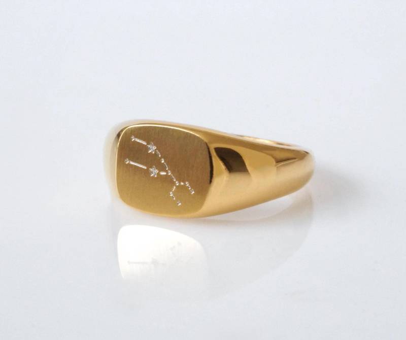 Gravur Ring Siegelring Personalisiert Frauen Männer Individualisiert Sternzeichen Sternbild Geburtsblumen Gravurring Geschenk Silber von BenSchumacherShop