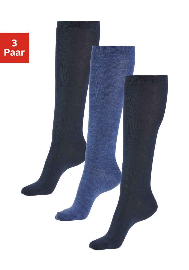 Bench. Kniestrümpfe Packung, 3 Stk. tlg. Damenkniestrümpfe mit wärmender Wolle von Bench.