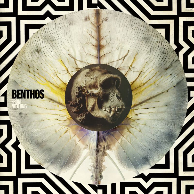 Benthos From nothing CD multicolor Benthos From nothing CD multicolor von Benthos