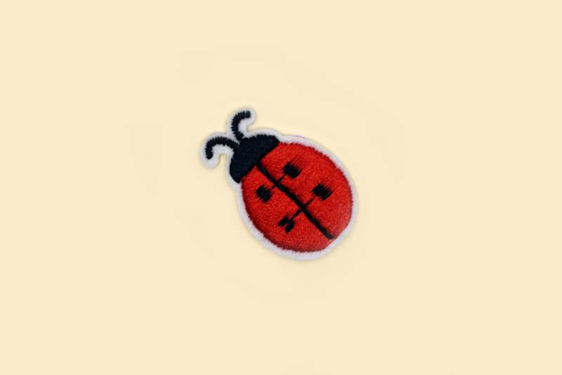 Mini Marienkäfer Aufnäher/Insekten Liebhaber Geschenk/Marienkäfer Geschenk/Insekten Abzeichen/Käfer Liebe Aufnäher Mini Marienkäfer Aufnäher/Insekten Liebhaber Geschenk/Marienkäfer Geschenk/Insekten Abzeichen/Käfer Liebe Aufnäher von BerniesWonderland